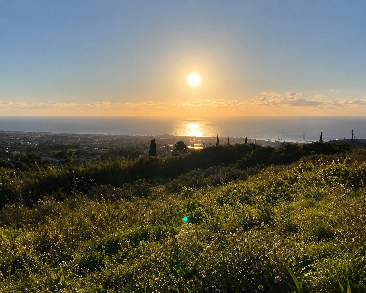 7,358m² Plot for Sale in Tala, Paphos District