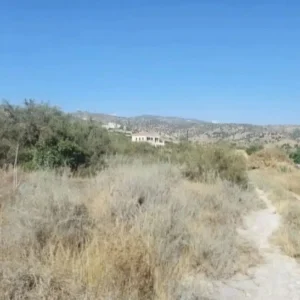 3,011m² Plot for Sale in Pegeia, Paphos District