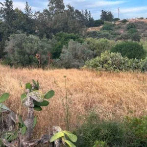 1,160m² Plot for Sale in Monagroulli, Limassol District