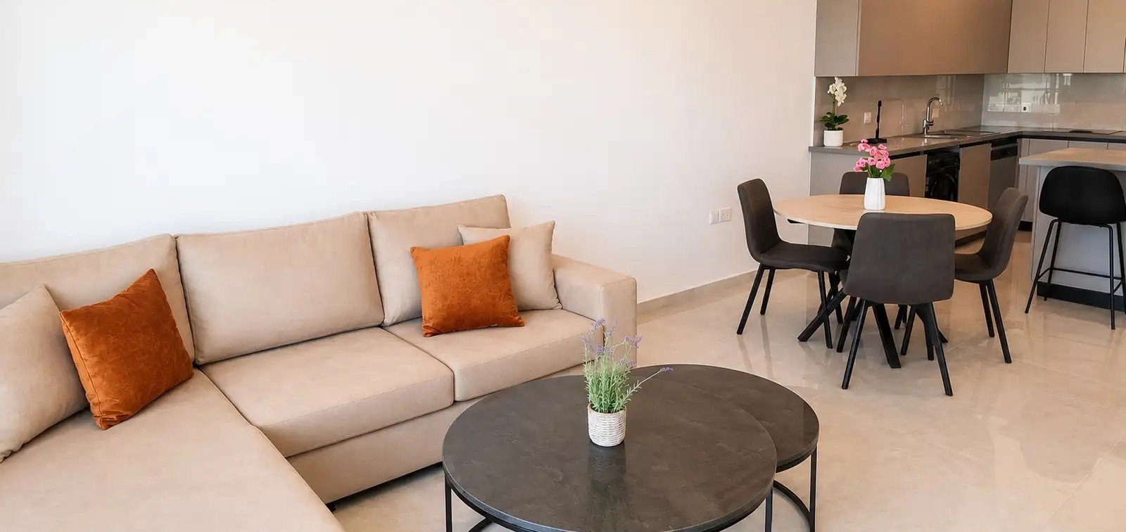 2 Bedroom Apartment for Rent in Nicosia – Agios Ioannis, Limassol District
