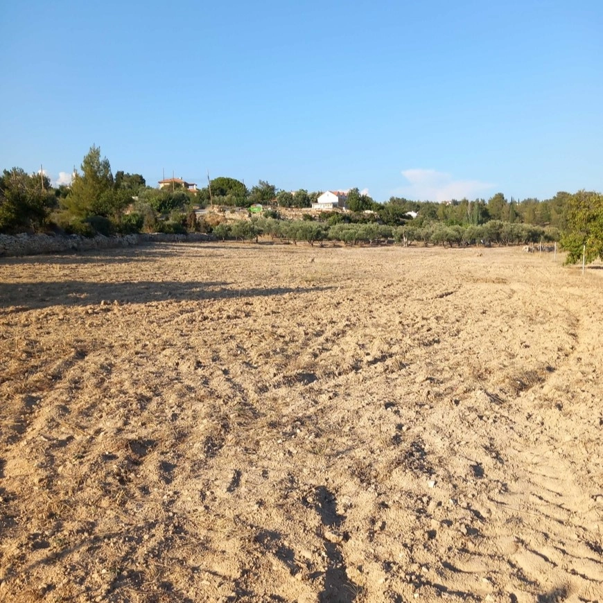 9,182m² Plot for Sale in Souni, Limassol District