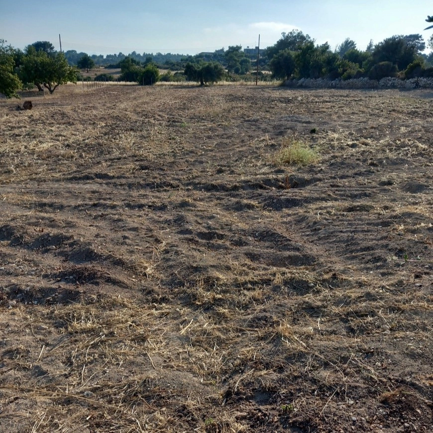 9,182m² Plot for Sale in Souni, Limassol District