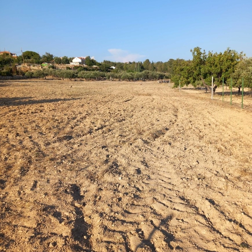9,182m² Plot for Sale in Souni, Limassol District