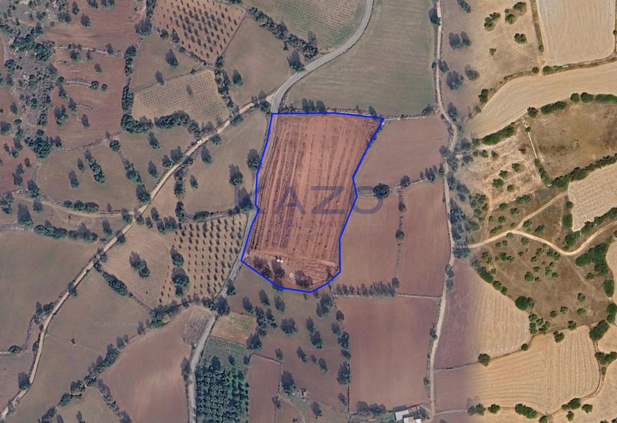 15,385m² Plot for Sale in Anogyra, Limassol District