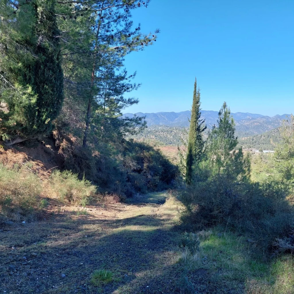 7,024m² Plot for Sale in Kato Platres, Limassol District