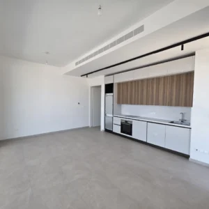 2 Bedroom Apartment for Rent in Germasogeia, Limassol District