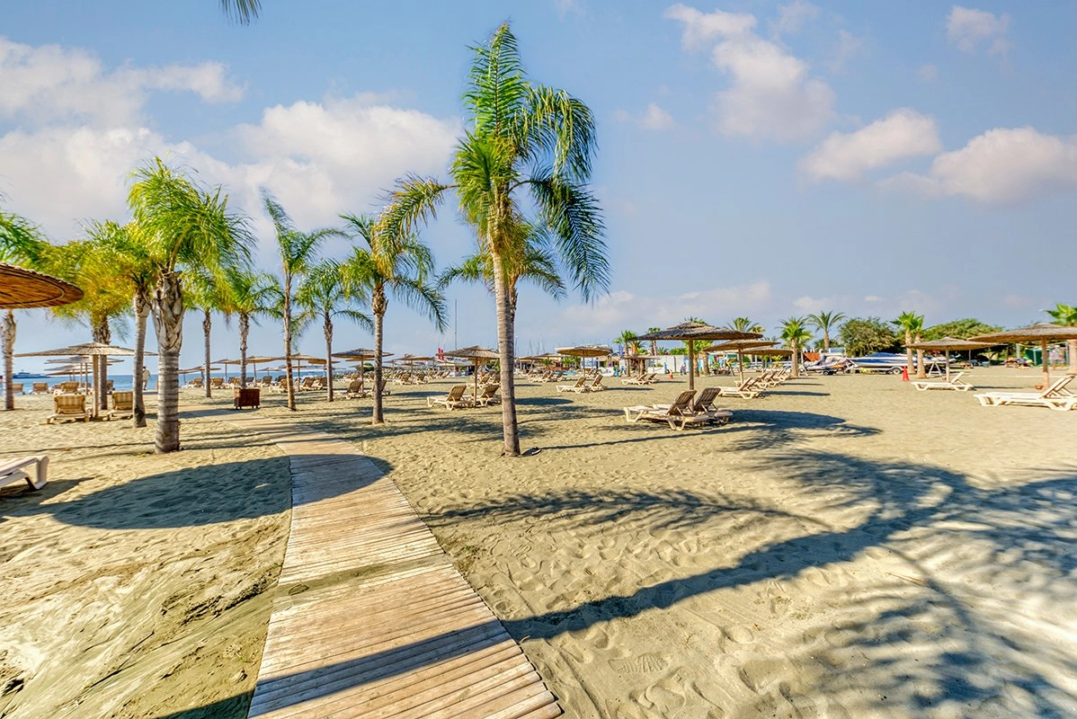 3 Bedroom Apartment for Rent in Limassol District