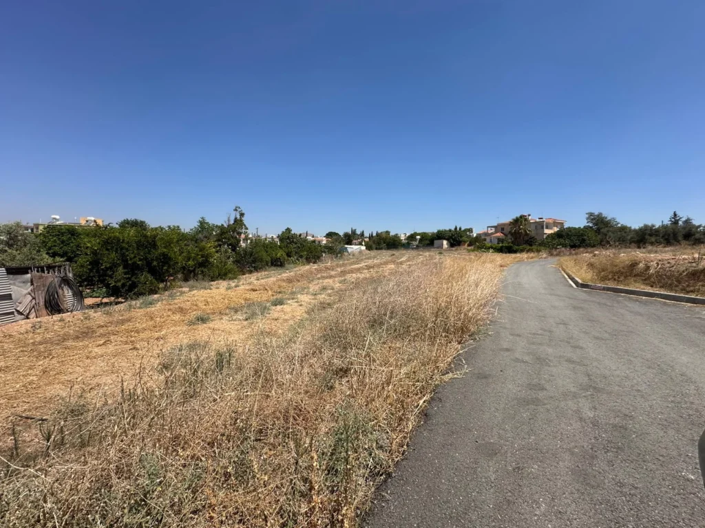 2,600m² Plot for Sale in Anarita, Paphos District