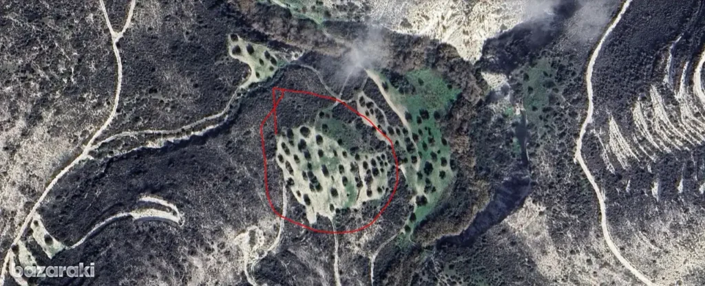 13,379m² Plot for Sale in Kato Drys, Larnaca District