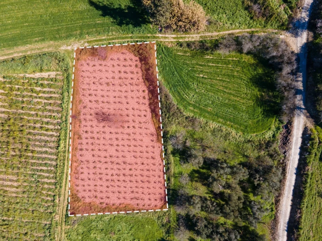 Οικόπεδο 2,007m² προς πώληση στο Πολέμι, Επαρχία Πάφου