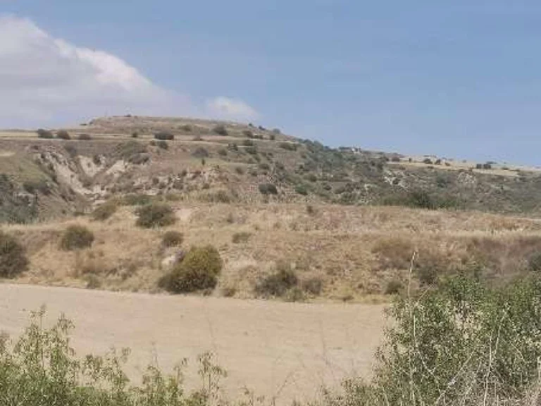6,355m² Plot for Sale in Choli, Paphos District