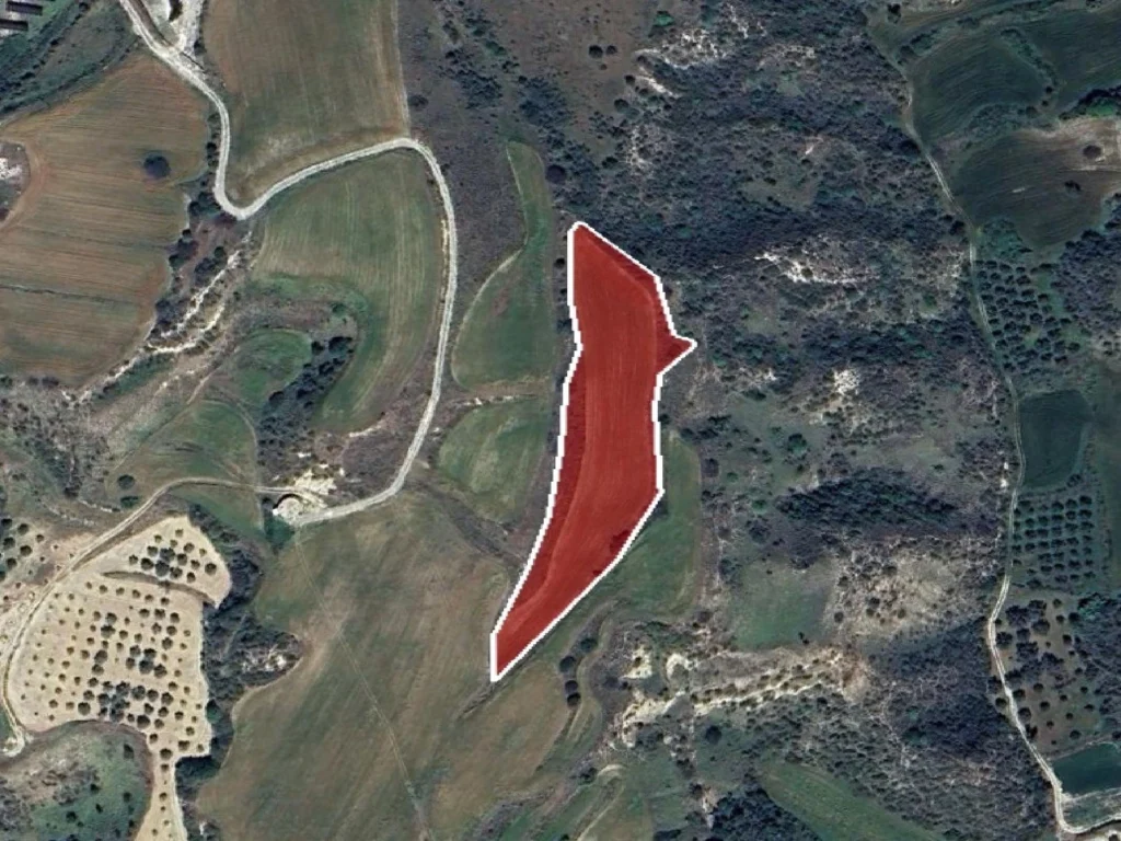 6,355m² Plot for Sale in Choli, Paphos District