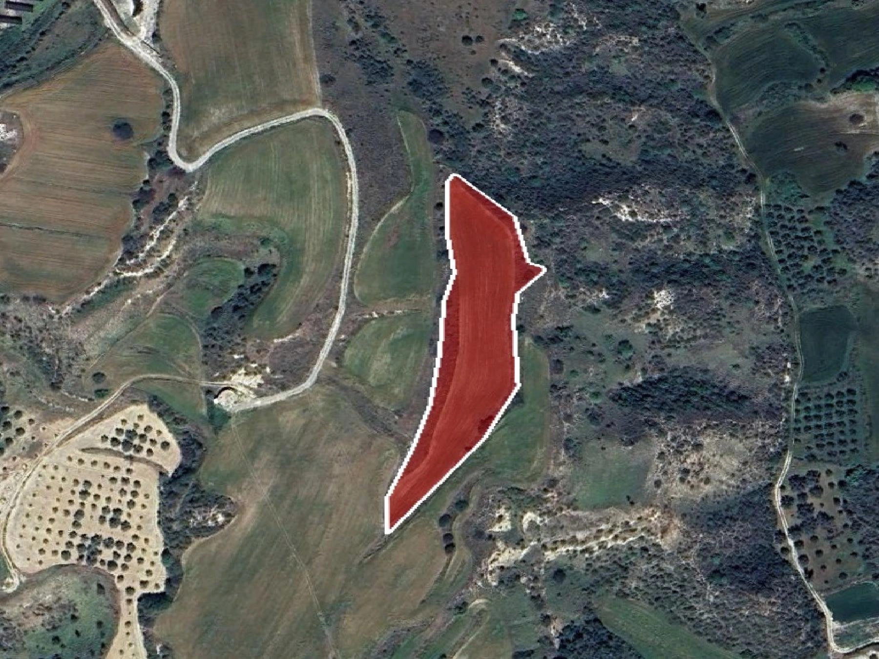 6,355m² Plot for Sale in Choli, Paphos District