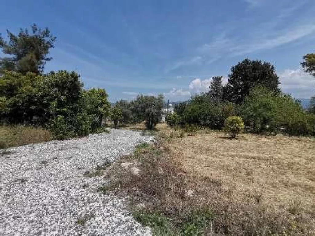 1,673m² Plot for Sale in Paphos District