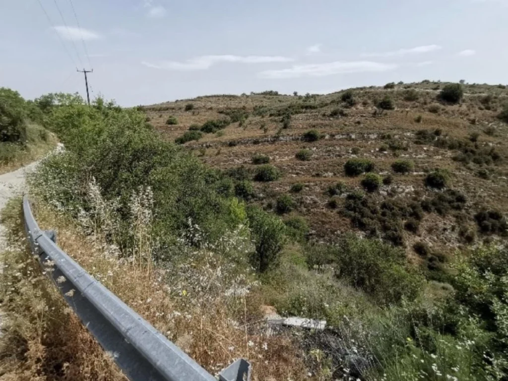 10,368m² Plot for Sale in Tsada, Paphos District
