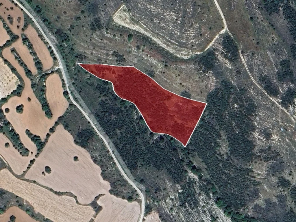 10,368m² Plot for Sale in Tsada, Paphos District