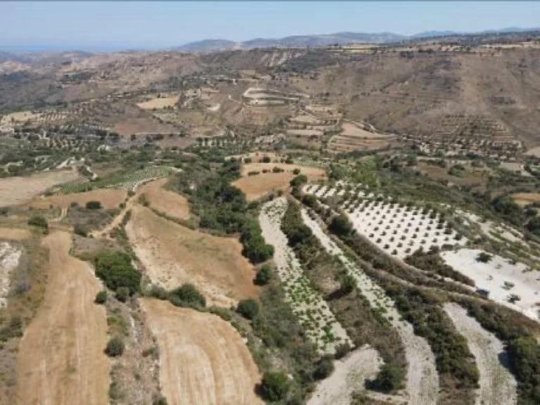 7,693m² Plot for Sale in Paphos District