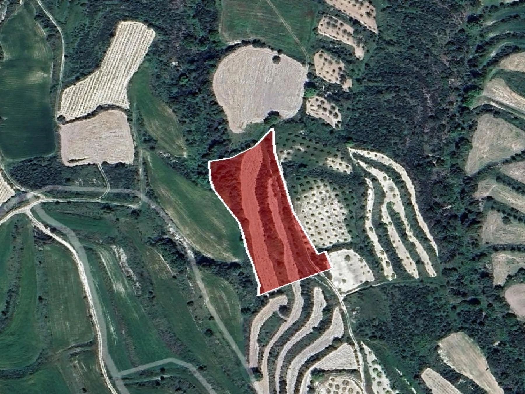 7,693m² Plot for Sale in Paphos District