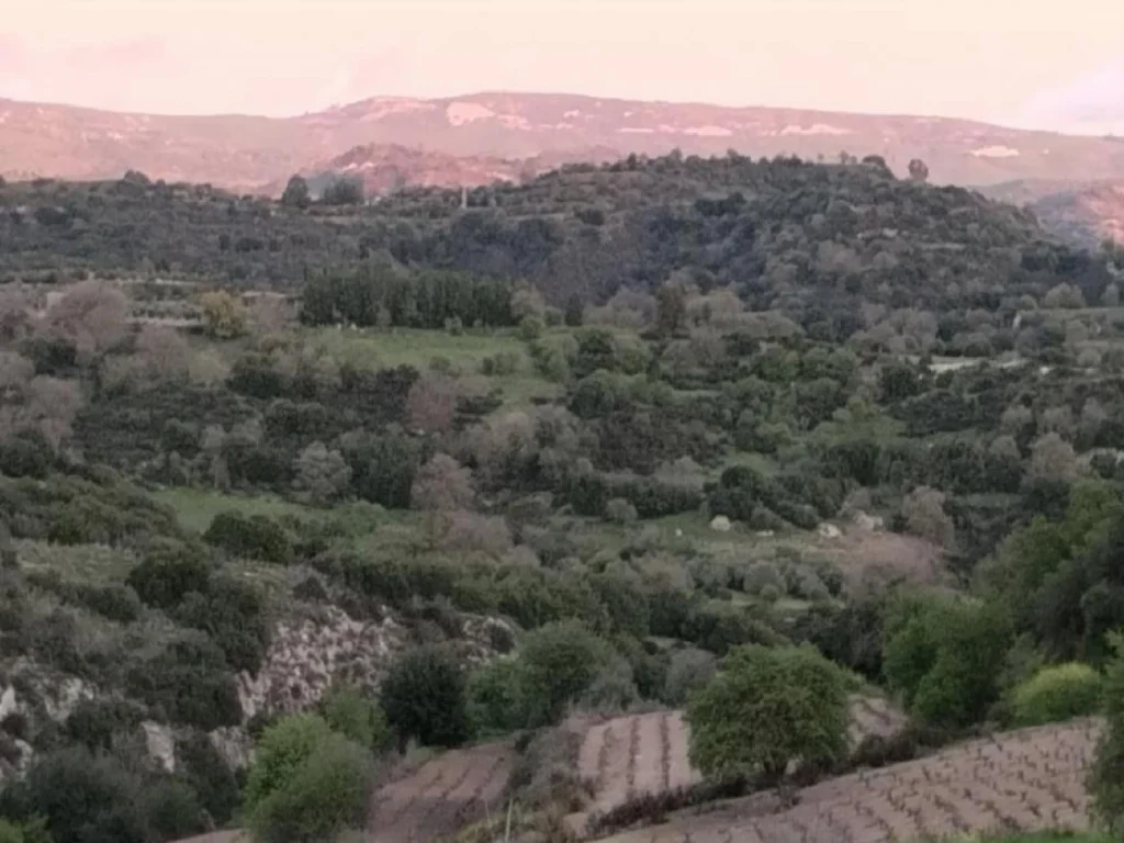 12,710m² Plot for Sale in Psathi, Paphos District