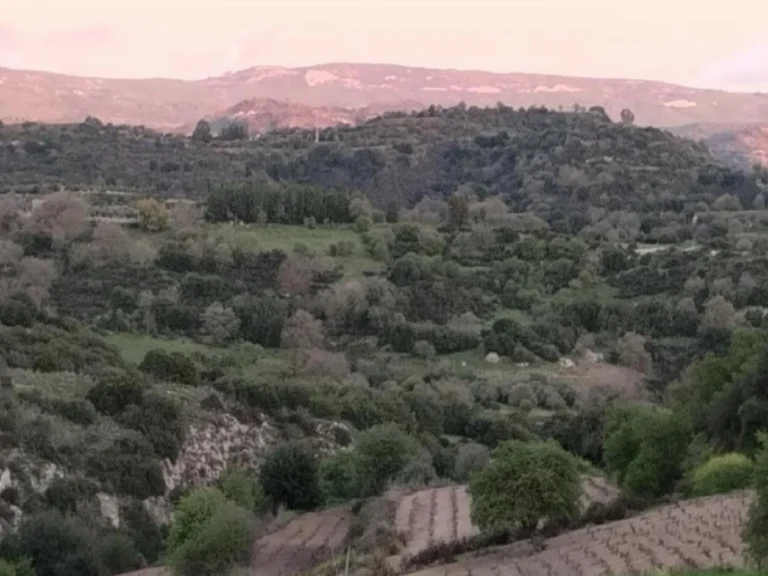 12,710m² Plot for Sale in Psathi, Paphos District