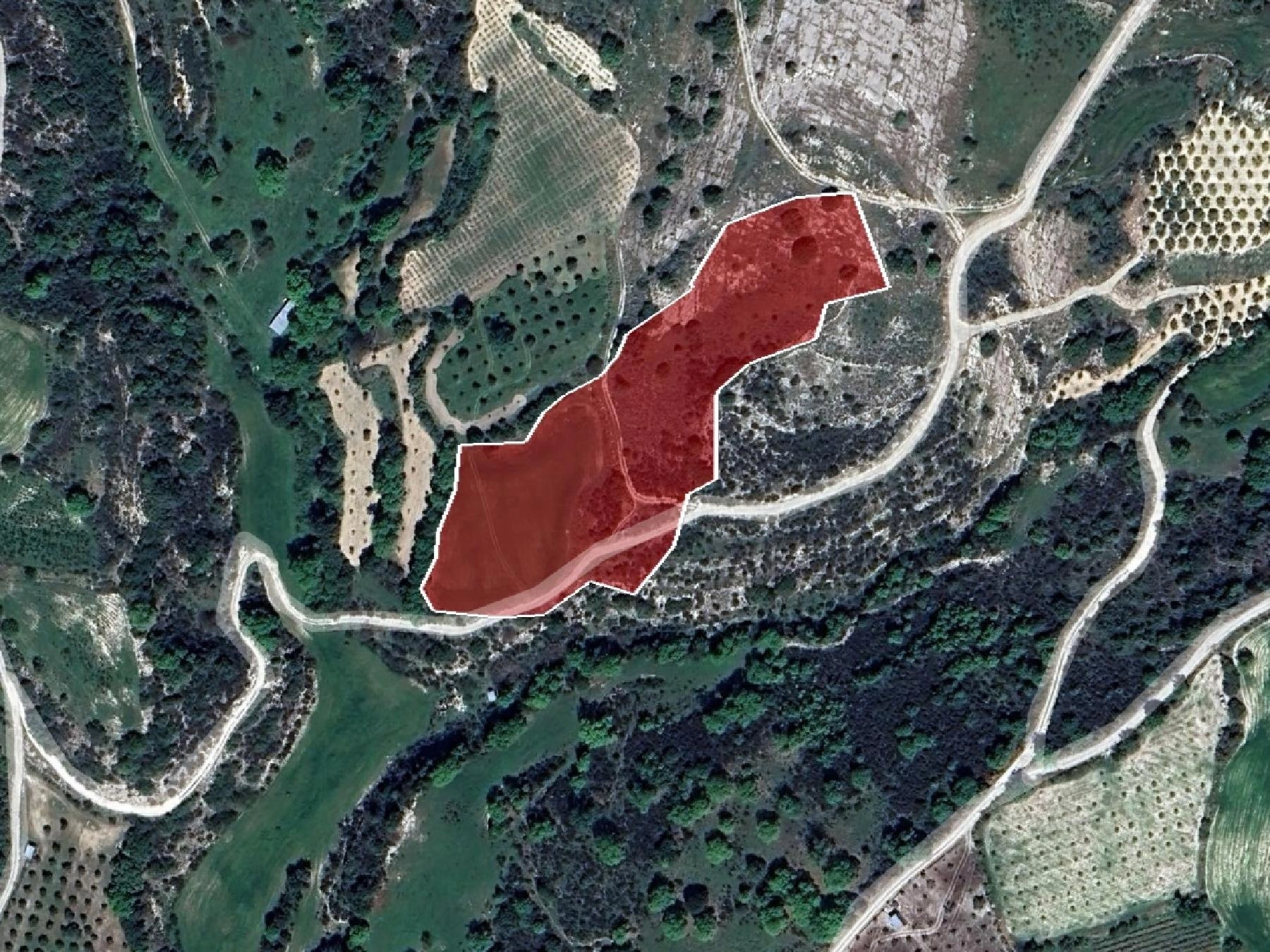 12,710m² Plot for Sale in Psathi, Paphos District