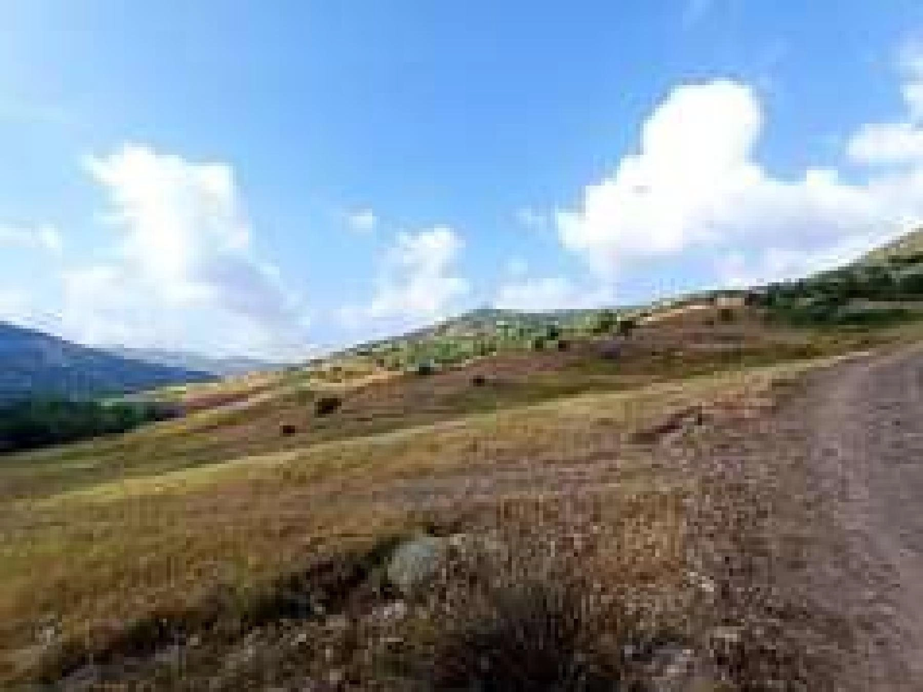 13,044m² Plot for Sale in Kallepeia, Paphos District