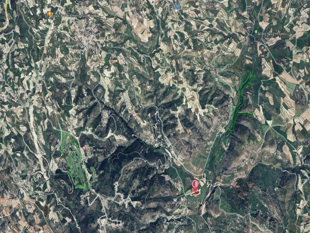 13,044m² Plot for Sale in Kallepeia, Paphos District