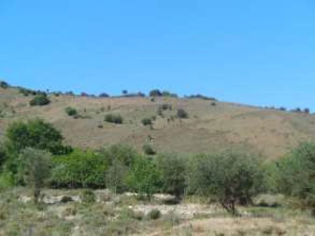 40,135m² Plot for Sale in Paphos District