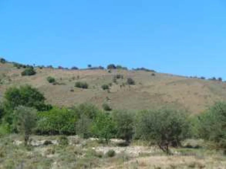 40,135m² Plot for Sale in Paphos District