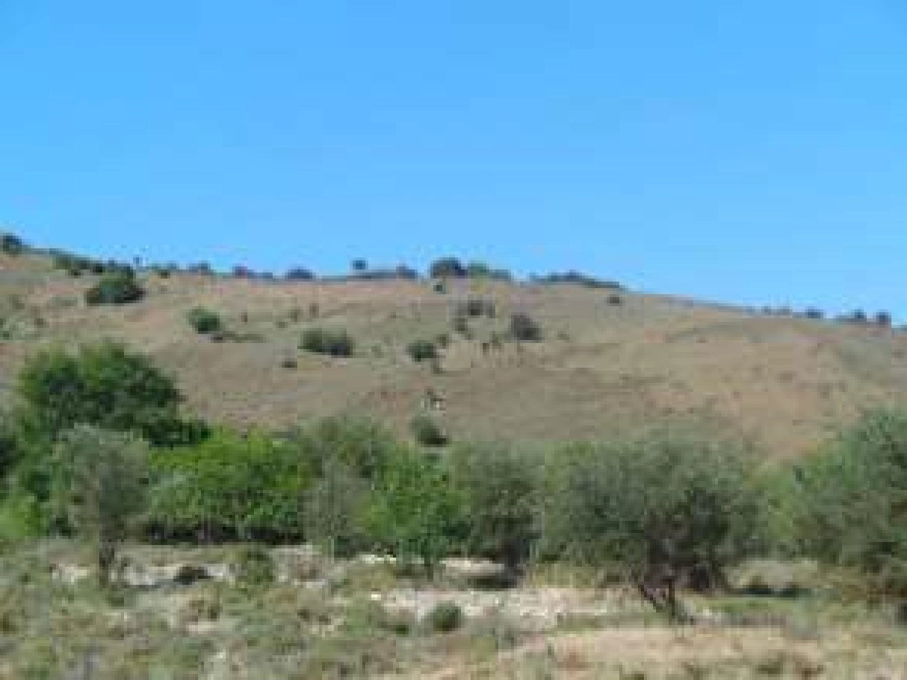 40,135m² Plot for Sale in Paphos District