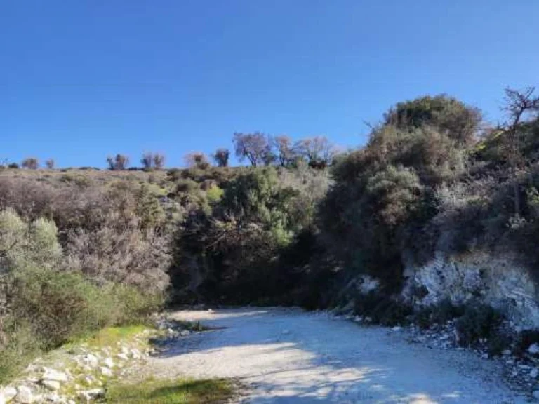 1,766m² Plot for Sale in Salamiou, Paphos District
