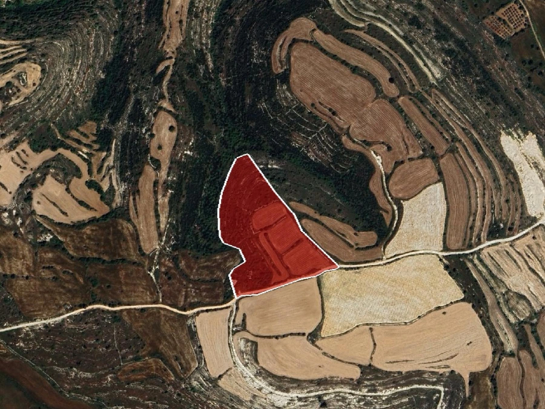 25,084m² Plot for Sale in Kato Arodes, Paphos District