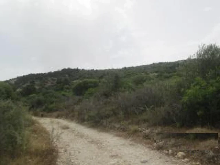 42,810m² Plot for Sale in Koili, Paphos District