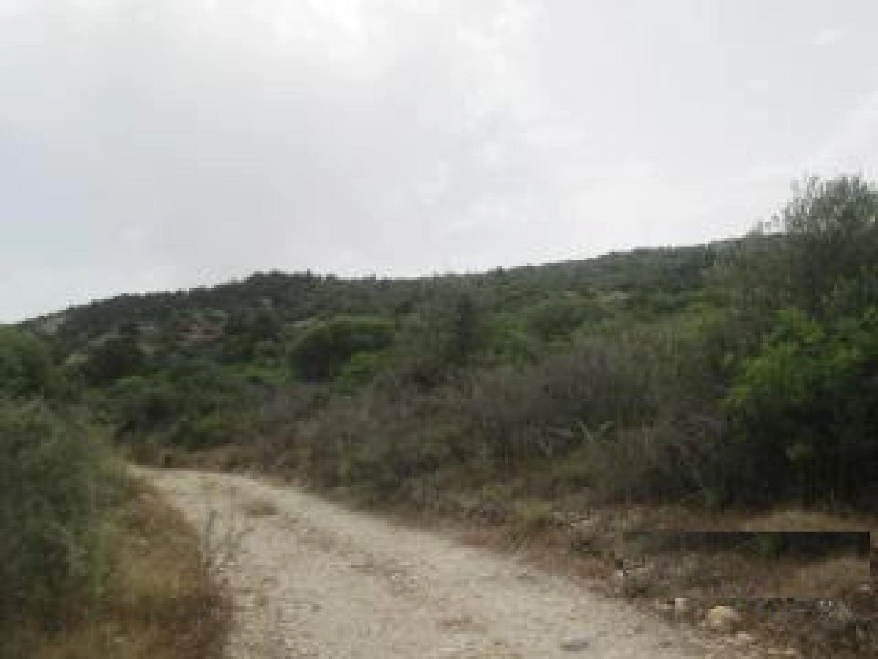 42,810m² Plot for Sale in Koili, Paphos District