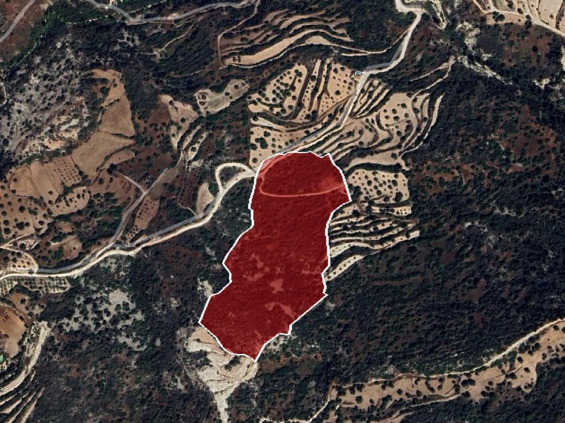 42,810m² Plot for Sale in Koili, Paphos District