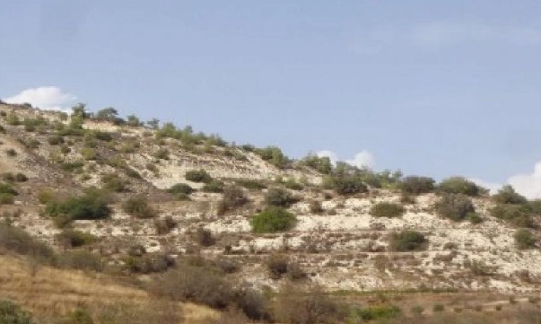 30,436m² Plot for Sale in Amargeti, Paphos District