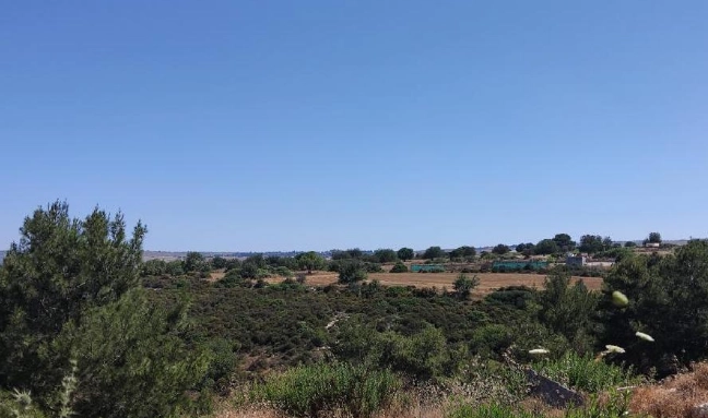 4,683m² Plot for Sale in Pegeia, Paphos District