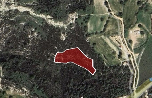 4,683m² Plot for Sale in Pegeia, Paphos District