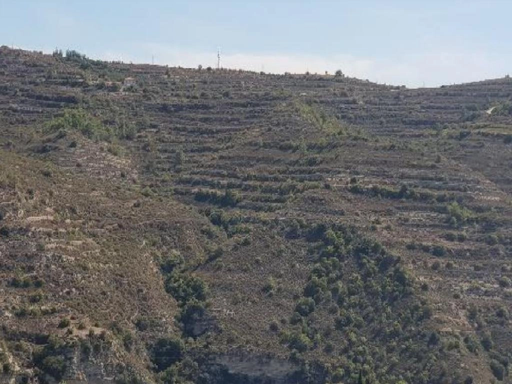 20,738m² Plot for Sale in Koilani, Limassol District