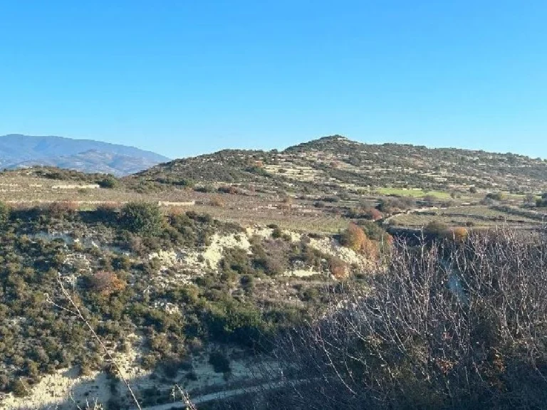 26,916m² Plot for Sale in Pachna, Limassol District