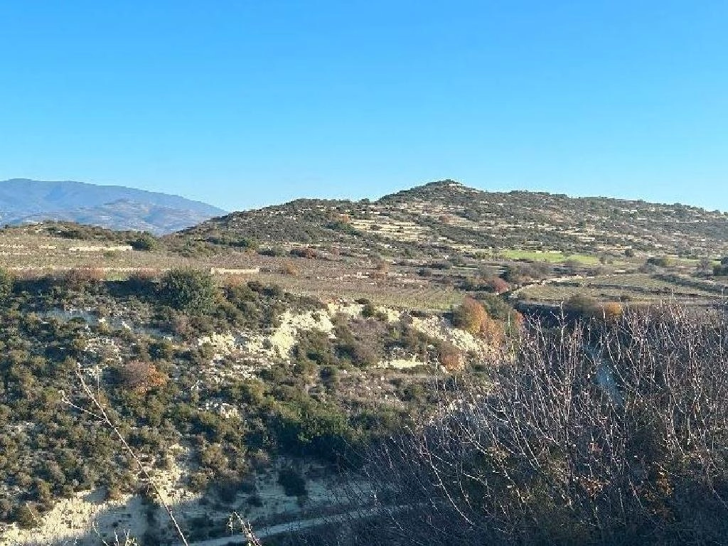 26,916m² Plot for Sale in Pachna, Limassol District