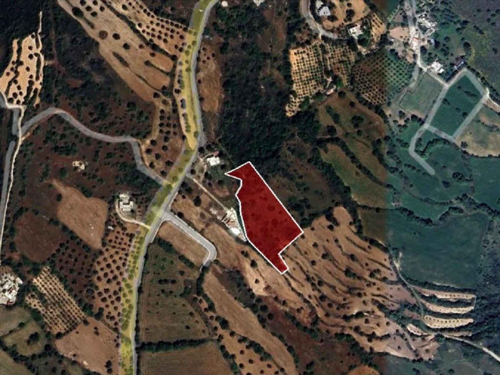 8,696m² Plot for Sale in Paphos District