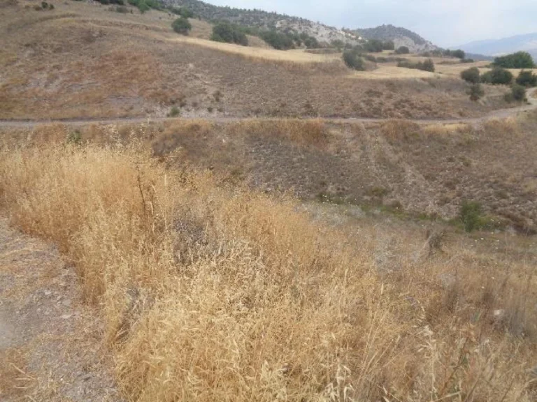 17,726m² Plot for Sale in Amargeti, Paphos District