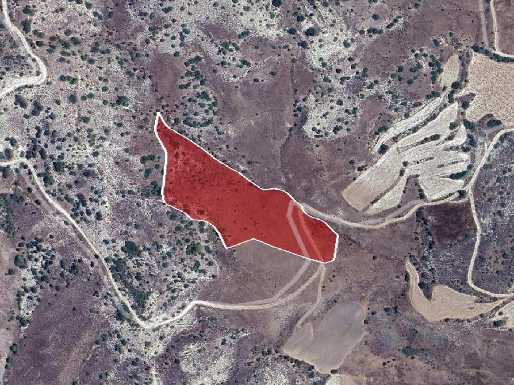 17,726m² Plot for Sale in Amargeti, Paphos District