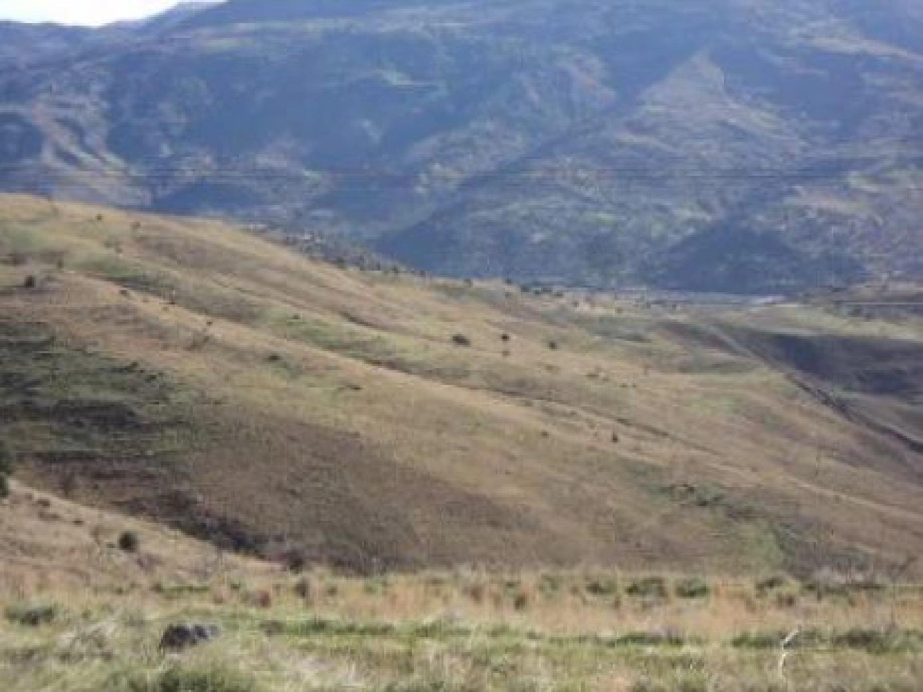9,700m² Plot for Sale in Galataria, Paphos District