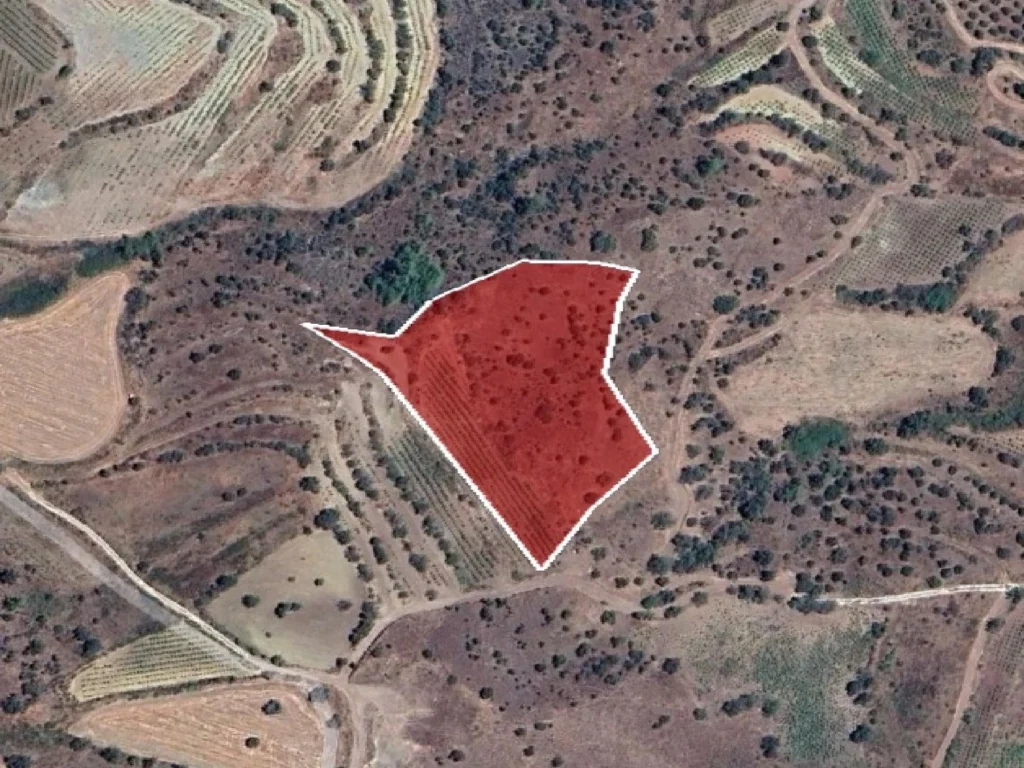 9,700m² Plot for Sale in Galataria, Paphos District