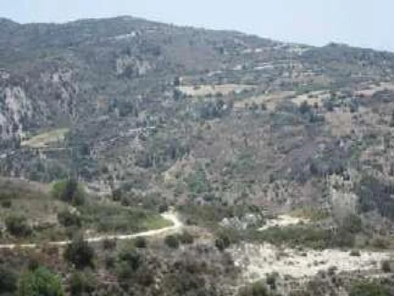 7,693m² Plot for Sale in Pegeia, Paphos District