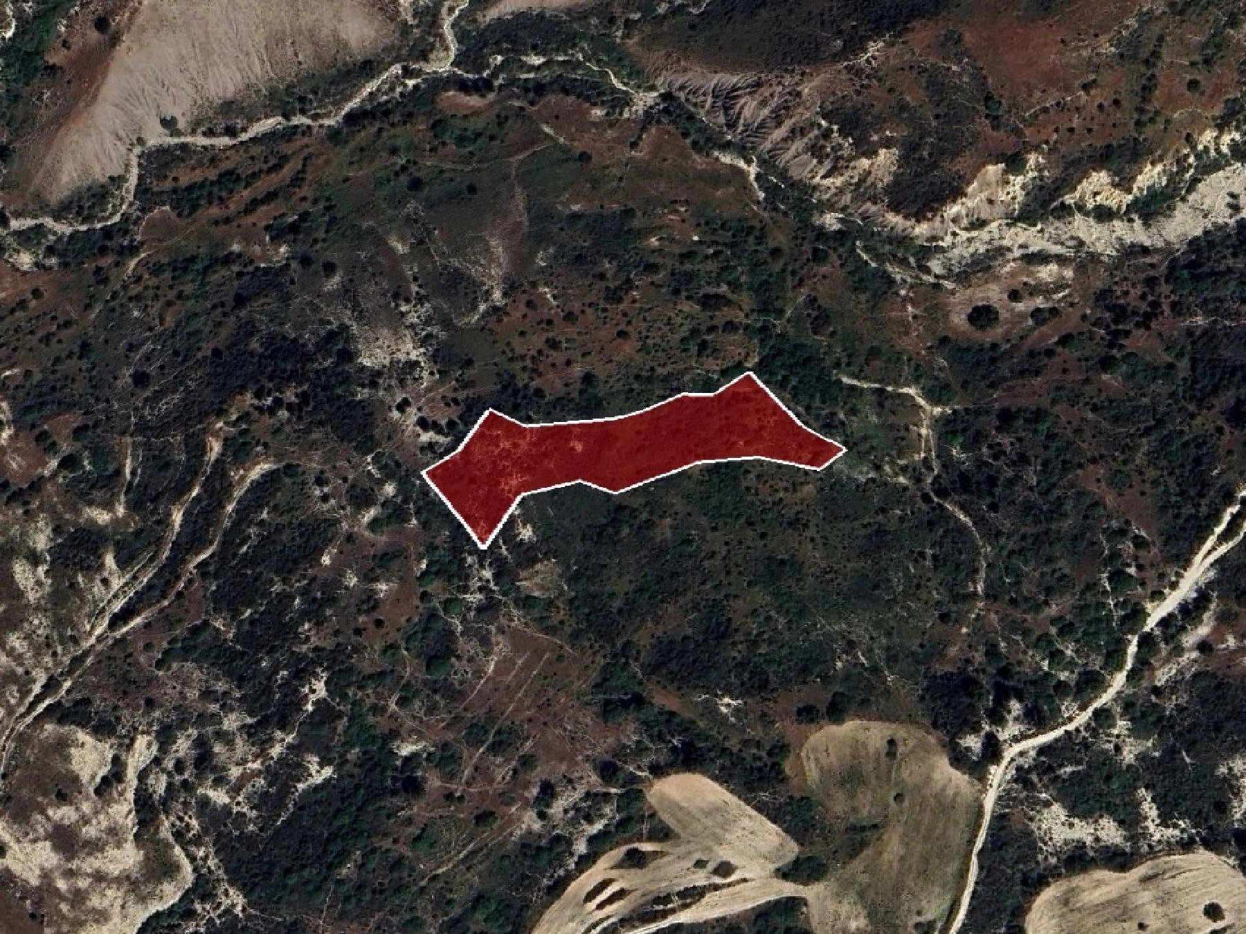 7,693m² Plot for Sale in Pegeia, Paphos District