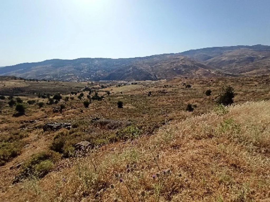 24,713m² Plot for Sale in Kelokedara, Paphos District