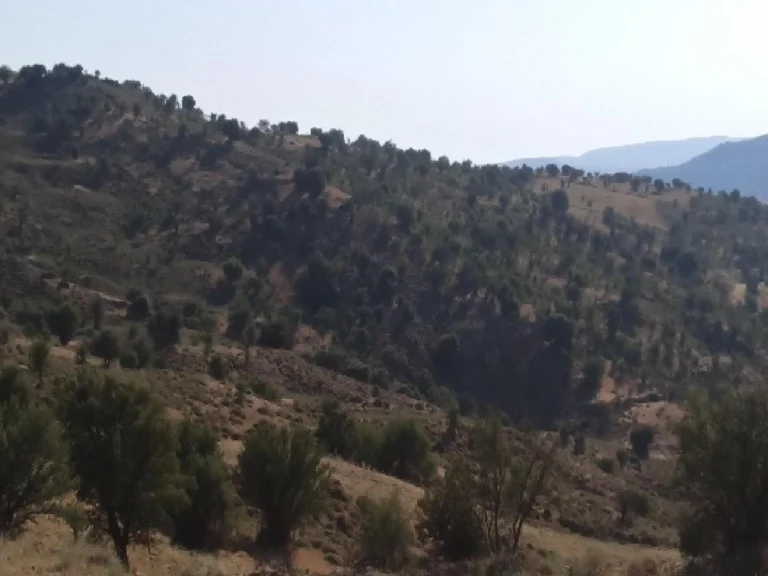 13,713m² Plot for Sale in Kelokedara, Paphos District